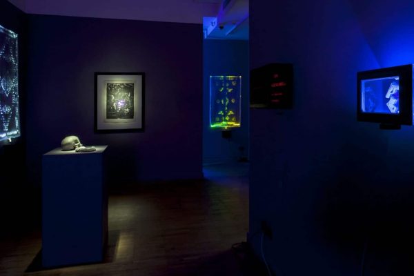 Storyteller_Anna_Laudel_Contemporary09
