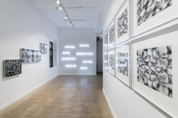 Hayal_Incedogan_Install_Shot_Anna_Laudel_2019_Low_23