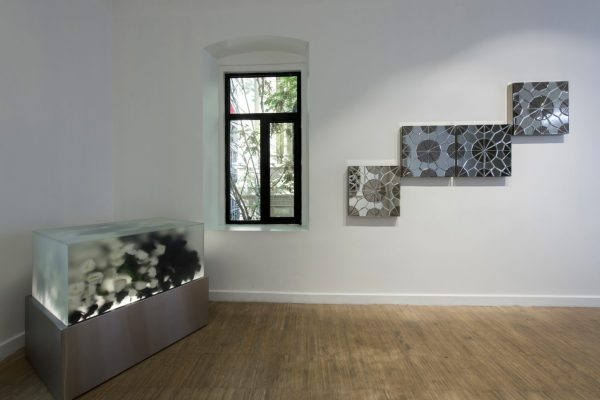 Hayal_Incedogan_Install_Shot_Anna_Laudel_2019_Low_31