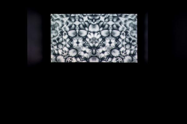 Hayal_Incedogan_Install_Shot_Anna_Laudel_2019_Low_38