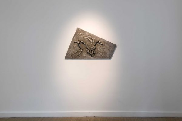 Bilal_Hakan_Karakaya_Install_Shot_Anna_Laudel_2020_Low_71